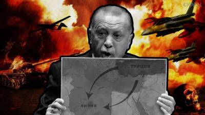 ОАЭ указали Турции на недопустимость угроз и колониальной политики в Ливии