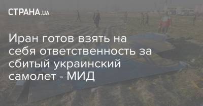 Иран готов взять на себя ответственность за сбитый украинский самолет - МИД