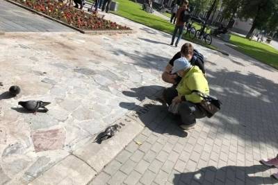 В поддержку хабаровчан в Пскове покормили голубей