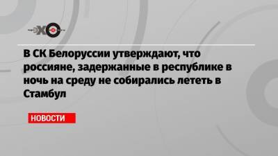 В СК Белоруссии утверждают, что россияне, задержанные в республике в ночь на среду не собирались лететь в Стамбул