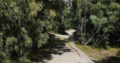 В лесу под Советском заблудился трёхлетний мальчик