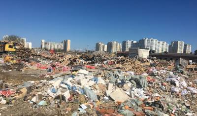 Пассивность губернатора Петербурга обогатит Ленобласть за счет мусора