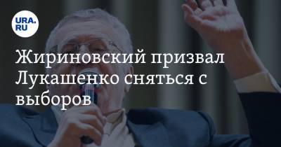Жириновский призвал Лукашенко сняться с выборов