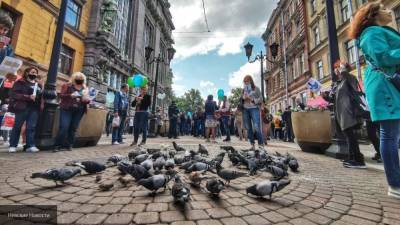 Немногочисленная акция "Покорми голубей" на Малой Садовой подошла к концу