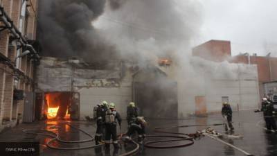 Два человека сгорели при пожаре в можайском ангаре
