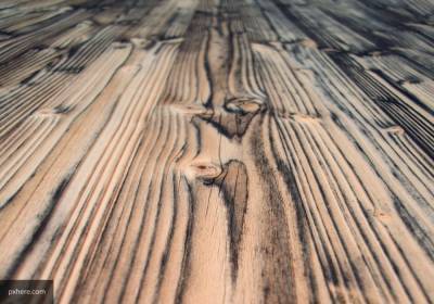 Специалисты из США создали полностью прозрачную древесину