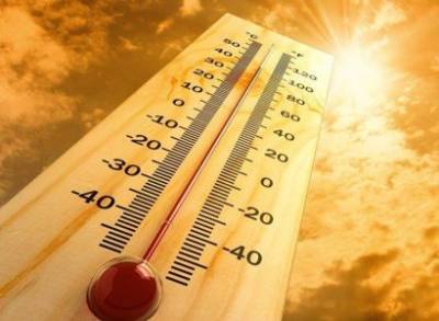 В 13 департаментах Франции объявлен оранжевый уровень опасности из-за жары