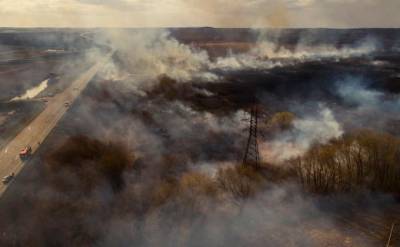 В Украине в 40 раз увеличилась площадь лесных пожаров