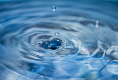 В Ленобласти 2021 год объявлен Годом чистой воды
