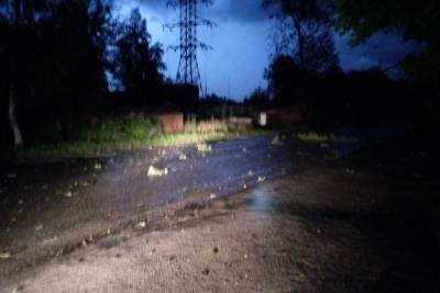 В районе Петрозаводска отрубили свет из-за попавшей в дерево молнии