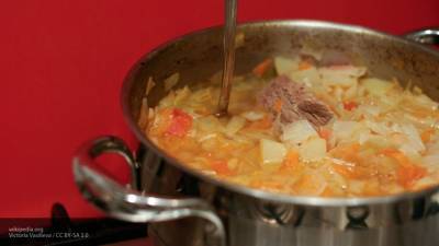 Японцы нашли сходство русских щей с мисо-супом