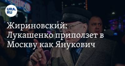 Жириновский предсказал Лукашенко судьбу Януковича