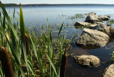 Александр Дрозденко показал красоты озер Выборгского района Ленобласти