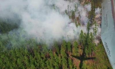 В Якутии зафиксировано 120 природных пожаров