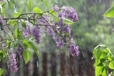 Жара отступает: синоптики предупреждают о грозовых дождях 10 августа