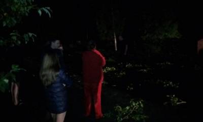 Последствия грозы в Карелии: молния подожгла дом и свалила дерево