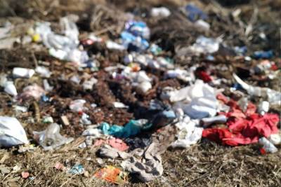 В Мелекесском районе прокурор требует ликвидировать незаконные свалки мусора