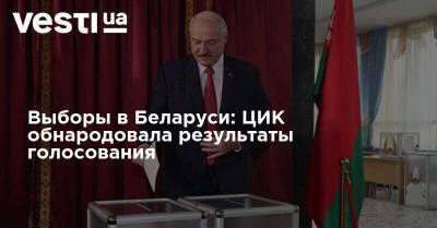 Выборы в Беларуси: ЦИК обнародовала результаты голосования