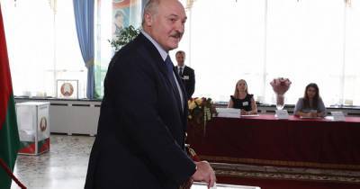 Лукашенко побеждает на выборах президента Белоруссии с 80,23% голосов