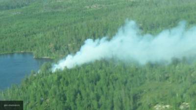 Огонь охватил 1 гектар национального парка Сочи