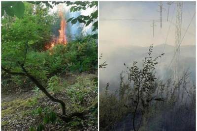 Сочинском национальном парке разгорелся лесной пожар