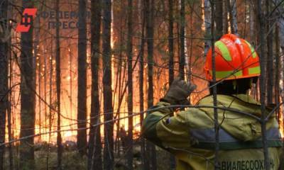 Площадь лесных пожаров в Красноярском крае выросла в несколько раз