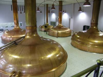 В Воронежской области определяют лучшего пивовара