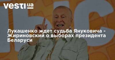 Лукашенко ждет судьба Януковича - Жириновский о выборах президента Беларуси