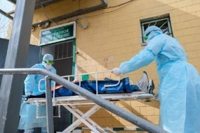 У 97 человек в Волгоградской области за сутки подтвердился коронавирус
