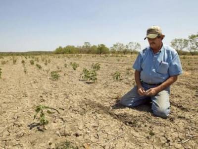 Молдавия просит денег у Всемирного банка на борьбу с последствиями засухи