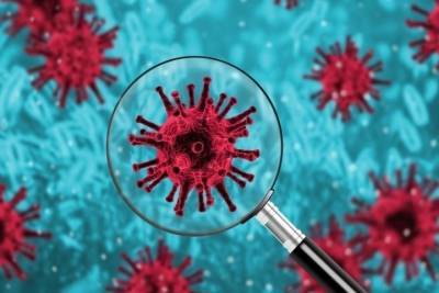 В Чувашии за сутки коронавирус выявили у 30 человек