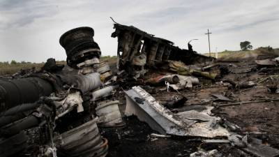 Эксперт заявил, что новые улики отдаляют поиск истины в деле MH17