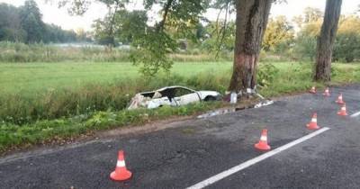 В Озёрском районе водитель Volkswagen врезался в дерево, пострадали двое детей