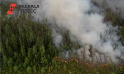 В Томской области огонь охватил больше тысячи гектаров леса