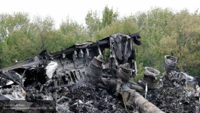 Доцент МГИМО: новые факты по MH17 могут перевернуть ход расследования