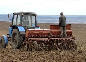 На развитие фермерства в Орловской области выделили 15,5 млн рублей