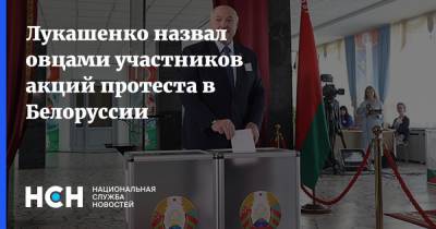 Лукашенко назвал овцами участников акций протеста в Белоруссии