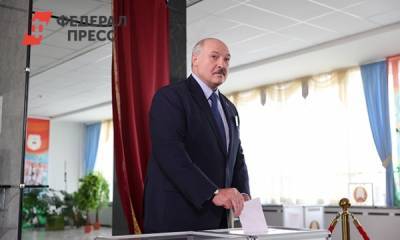 Лукашенко обвинил в протестах соседние страны: «Управляли нашими овцами»
