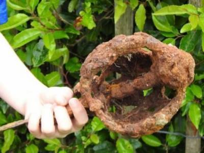 Британский школьник обнаружил старинный меч во дворе своего дома
