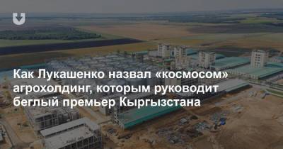 Как Лукашенко назвал «космосом» агрохолдинг, которым руководит беглый премьер Кыргызстана