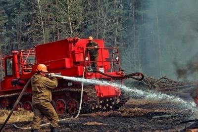 На борьбу с лесными пожарами в Костромской области заступила новая техника