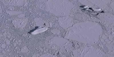 В Антарктике нашли "секретный корабль нацистов"