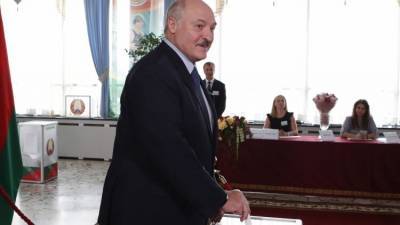 Болкунец: победа Лукашенко на выборах в Белоруссии была прогнозируемой