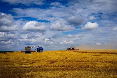 Преодолели рубеж: липецкие аграрии собрали три миллиона тонн зерна