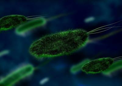 Учёные из Японии и США оживили древние бактерии возрастом 100 млн лет