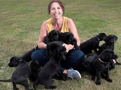 Светлая собака произвела на свет 13 абсолютно черных щенков