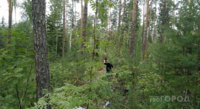 Грибники заблудились на машине в марийских лесах - pg21.ru - респ. Чувашия - район Звениговский