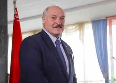 Лукашенко набирает 80,08% голосов на выборах президента Белоруссии
