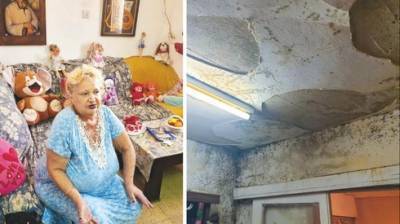 "Такое соцжилье хуже теракта": пенсионерка в Беэр-Шеве боится погибнуть от сырости