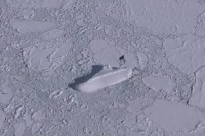 Таинственное замерзшее "судно" обнаружили у берегов Антарктиды